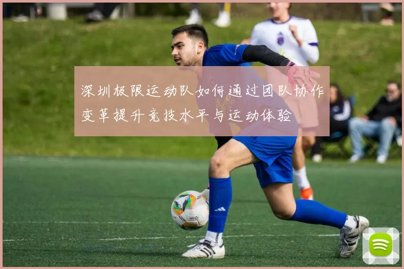 深圳极限运动队如何通过团队协作变革提升竞技水平与运动体验