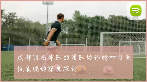 成都羽毛球队的团队协作精神与竞技表现的深度探讨