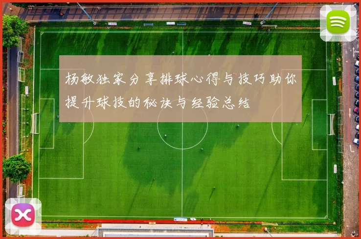 杨敏独家分享排球心得与技巧助你提升球技的秘诀与经验总结