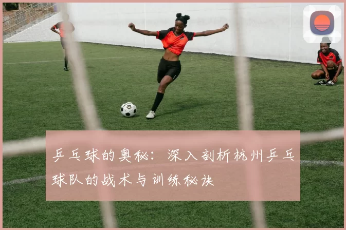 乒乓球的奥秘：深入剖析杭州乒乓球队的战术与训练秘诀