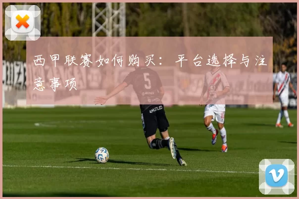 西甲联赛如何购买：平台选择与注意事项