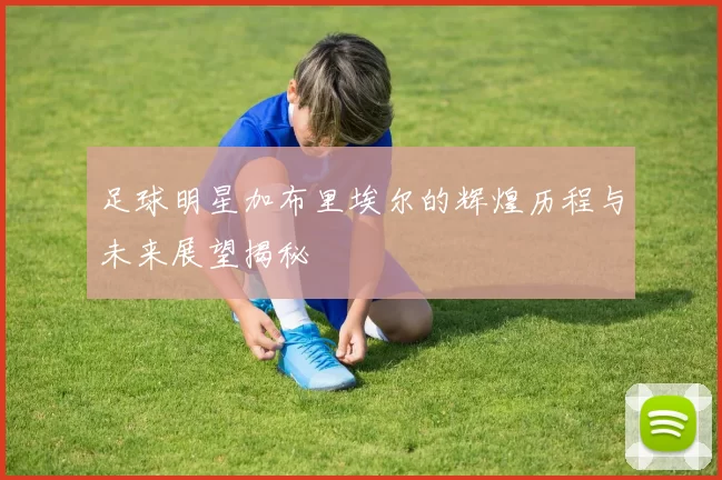 足球明星加布里埃尔的辉煌历程与未来展望揭秘