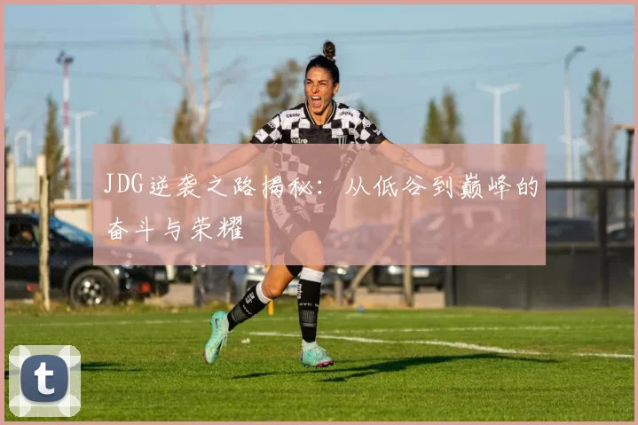 JDG逆袭之路揭秘：从低谷到巅峰的奋斗与荣耀