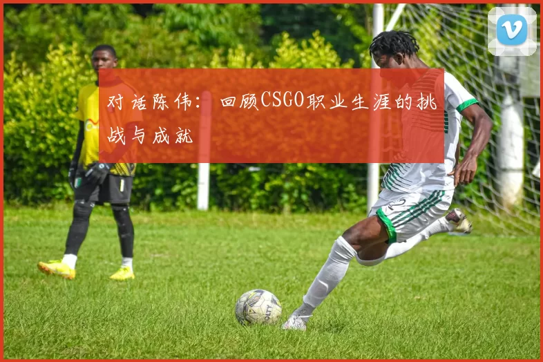 对话陈伟：回顾CSGO职业生涯的挑战与成就