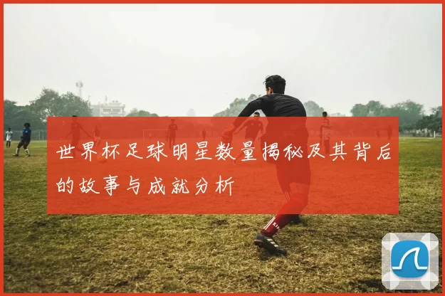 世界杯足球明星数量揭秘及其背后的故事与成就分析