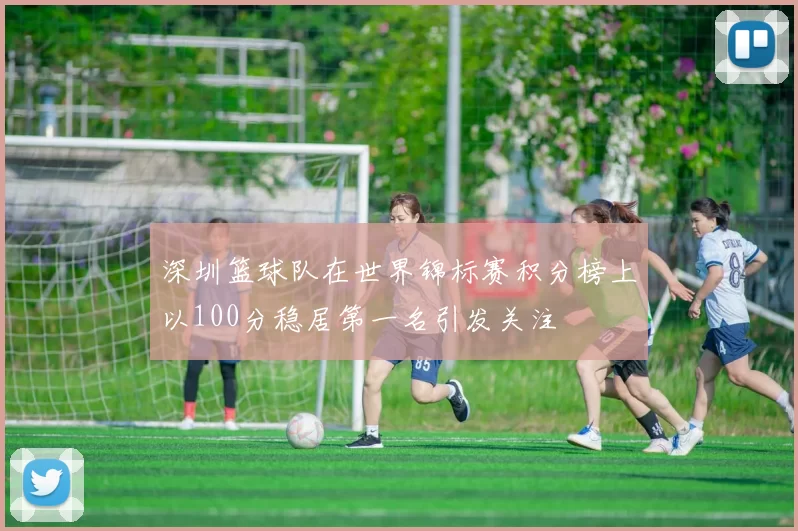 深圳篮球队在世界锦标赛积分榜上以100分稳居第一名引发关注