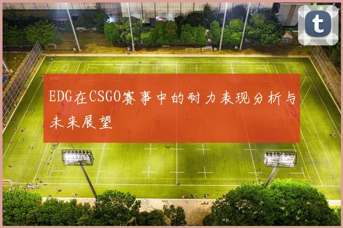 EDG在CSGO赛事中的耐力表现分析与未来展望