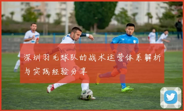 深圳羽毛球队的战术运营体系解析与实践经验分享