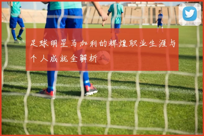 足球明星马加利的辉煌职业生涯与个人成就全解析