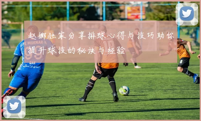 赵娜独家分享排球心得与技巧助你提升球技的秘诀与经验