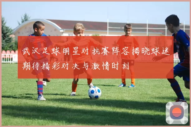 武汉足球明星对抗赛阵容揭晓球迷期待精彩对决与激情时刻