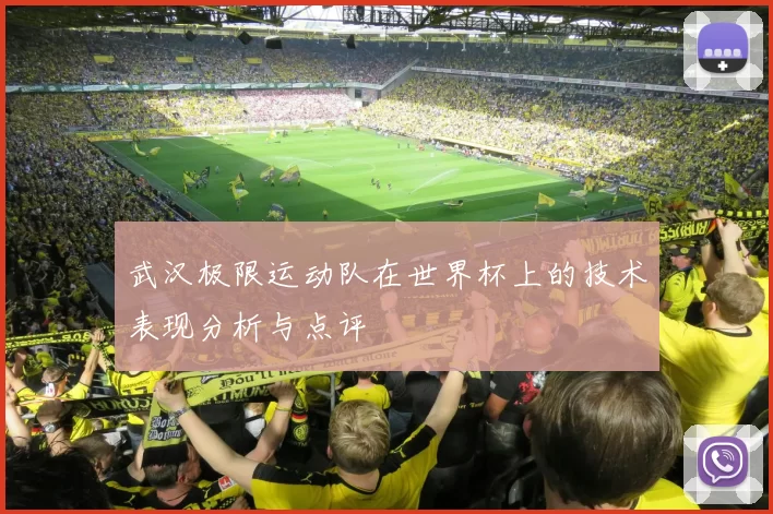 武汉极限运动队在世界杯上的技术表现分析与点评