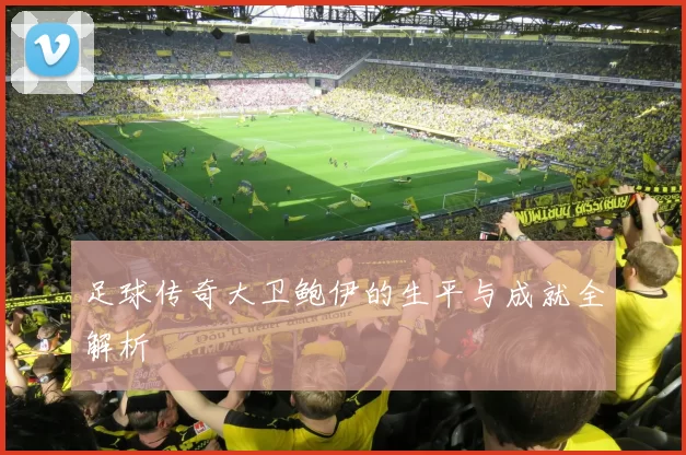 足球传奇大卫鲍伊的生平与成就全解析