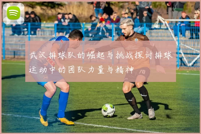 武汉排球队的崛起与挑战探讨排球运动中的团队力量与精神