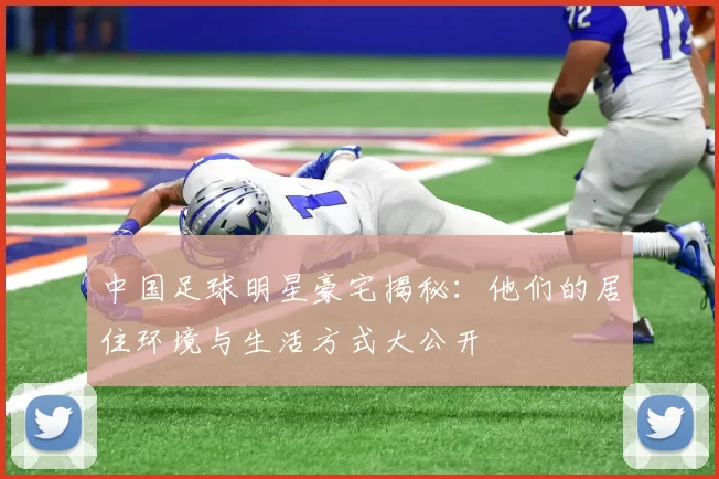 中国足球明星豪宅揭秘：他们的居住环境与生活方式大公开
