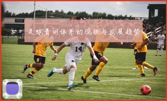 足球青训体系的现状与发展趋势