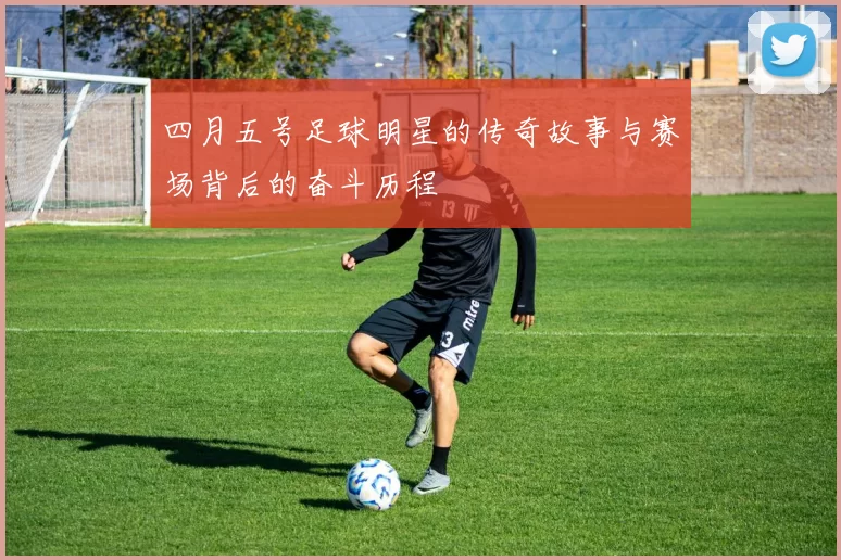 四月五号足球明星的传奇故事与赛场背后的奋斗历程