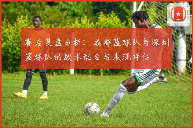 赛后复盘分析：成都篮球队与深圳篮球队的战术配合与表现评估