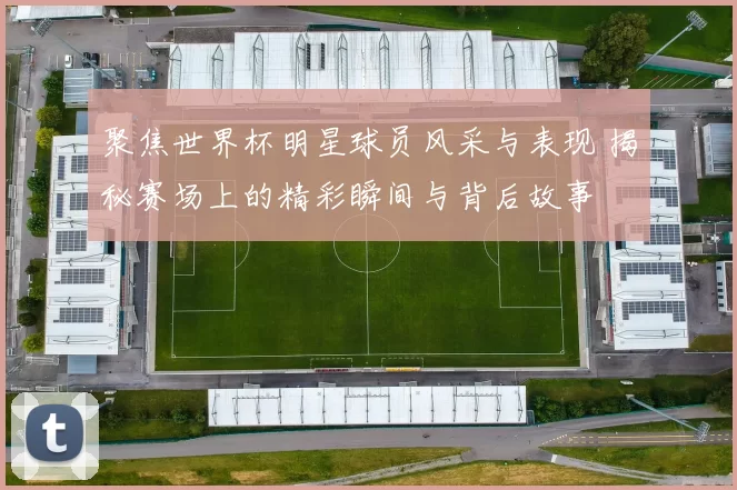 聚焦世界杯明星球员风采与表现 揭秘赛场上的精彩瞬间与背后故事