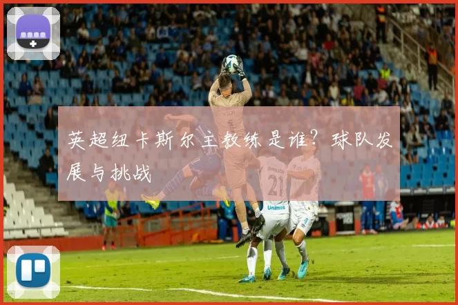 英超纽卡斯尔主教练是谁？球队发展与挑战