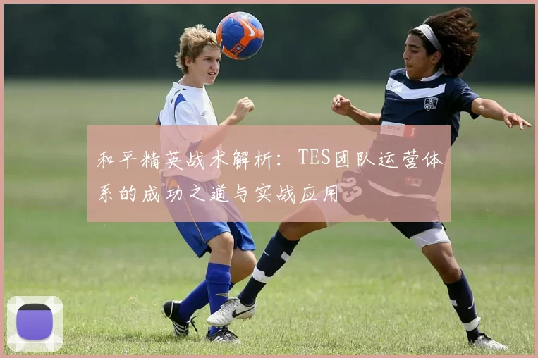 和平精英战术解析：TES团队运营体系的成功之道与实战应用