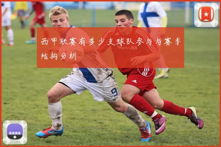 西甲联赛有多少支球队参与与赛季结构分析