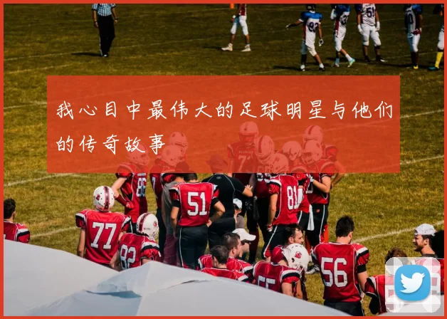 我心目中最伟大的足球明星与他们的传奇故事